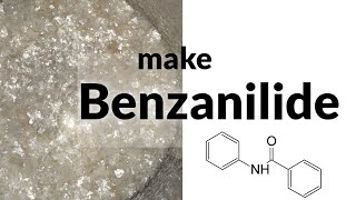 Benzanilide  Schotten Baumann Benzoylation [upl. by Chesney]