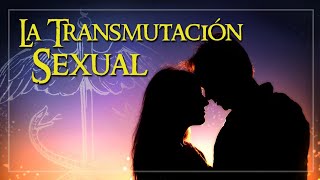 La Transmutación Sexual [upl. by Jacenta]