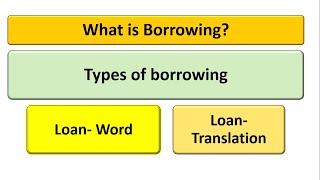 What is Borrowing Types of Borrowing Explained with examples [upl. by Cibis176]