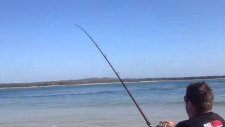 part 1 2nd golden travalley 105kg inskip point 3112013 fishing [upl. by Mclaughlin]