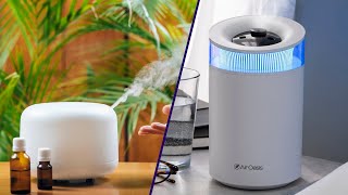 Diffuser vs Humidifier Which One Should You Use [upl. by Eilerua]