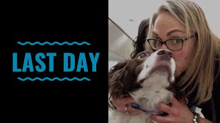 Last Day VLOG 57 with dog lymphoma mast cell tumors testicular cancer and cat hemangiosarcoma [upl. by Zampino]