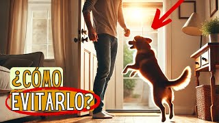 🐾¡Así Evitas Que Tu PERRO Salte Encima Cuando Llegas a casa [upl. by Yrian]