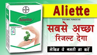 Aliette Fungicide ।। Bayer Aliette Fungicide ।। Fosetyl Al 80 WP ।। Aliette ।। Systemic Fungicide [upl. by Noryb]