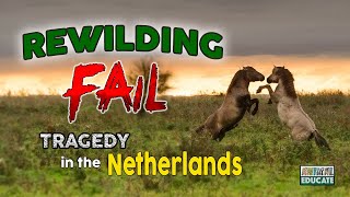 Rewilding Fail  Tragedy in the Netherlands  Oostvaardersplassen [upl. by Ynaffad]