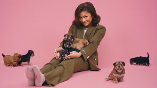 Zendaya The Puppy Interview [upl. by Chui]