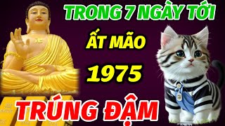 BẤT NGỜ NỔ LỘC TRÚNG LỚN TRONG 7 NGÀY TỚI ĐÂY TUỔI ẤT MÃO 1975 KHỔ MẤY CŨNG ĐỔI ĐỜI GIÀU ĐẠI GIA [upl. by Enelhtak]