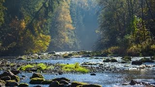 Sigulda und Gauja Nationalpark  Lettland [upl. by Relyuc]