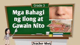 Mga Bahagi at Gawain ng Ilong [upl. by Rebna947]