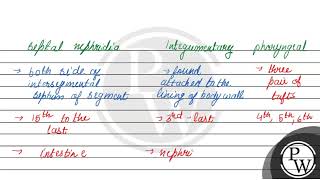 Differentiate three types of nephridia of earthworm [upl. by Namara726]