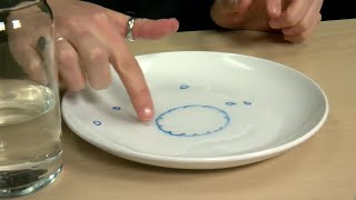 Make your art come alive with this fun science experiment [upl. by Yvaht676]