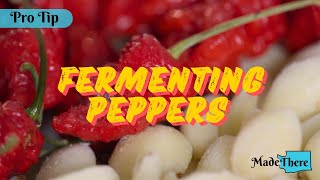 Pro Tip Fermenting Peppers with Matthew Mini of Funkys Hot Sauce Factory  Made There [upl. by Ailehs800]