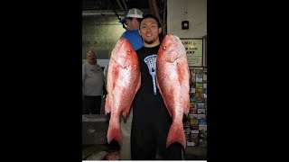 Red snapper and Gag Grouper offshore fishing Jun 15 2018 [upl. by Lorianna141]