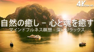 【自然の癒し  心と魂を癒す】ノリのいい曲 メドレー！ やる気を全開にさせるカッコイイ曲 [upl. by Kehr]