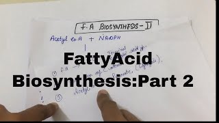 Fatty Acid BiosynthesisPart 2 [upl. by Gnol]