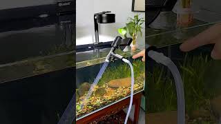 The Most Popular Cleaning Tools 🔫 fish fishtanksetup aquarium fishaquarium fishtank trending [upl. by Eus20]