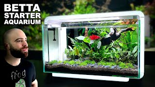 The Budget BETTA Setup You Cannot Miss [upl. by Leirol]