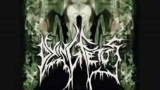 Dying Fetus  Bathe in Entrails [upl. by Alyssa880]