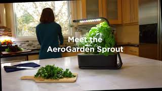 AeroGarden Sprout Product Video [upl. by Nayek189]