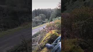 Cutting through a Welsh forest in a WRC Yaris ralio stages ifindoubtflatout wrc wrcmotorsport [upl. by Grata]