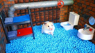 Hamster Maze  Great Escape [upl. by Fabrin967]