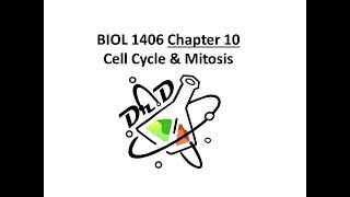 Chapter 10 Cell Cycle and Mitosis [upl. by Eerat]