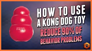 The Surprising Way Kong Toys Can CHANGE Your Dogs Life [upl. by Adnawahs]