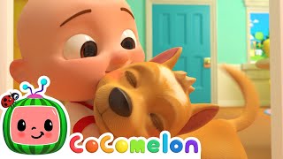 My Dog Song Bingo  CoComelon Nursery Rhymes amp Kids Songs [upl. by Mcclees]