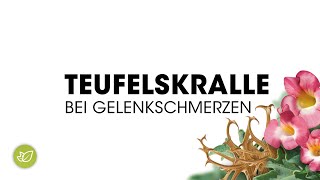 Teufelskralle bei Gelenkschmerzen [upl. by Ahsiekar405]