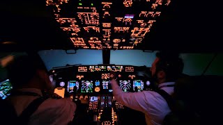 Flying In Extreme Weather Conditions  Heavy Snow  Boeing 737 Go Around Cockpit View [upl. by Dirgis930]