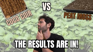 Coco Coir vs Peat Moss What Should You Use for Microgreens [upl. by Lewiss]