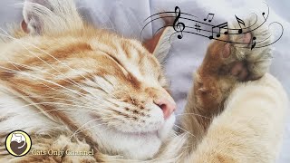 Cat Purring Sounds amp 528 Hz Healing Music  Stress Relief Relaxation Deep Sleep Music [upl. by Vickey]