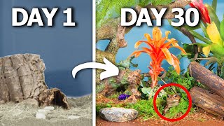 Simulating a Rainforest for 30 Days [upl. by Abernathy]