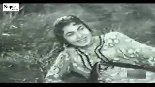 Sohni Mahiwal Movie Song Aanewale Ko Aana Bharat Bhushan Nimmi Om Prakash Mukri Chand Burke 1958 [upl. by Chari]