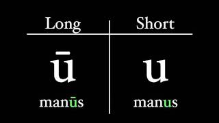 The Latin Alphabet  Vowel Pronunciation [upl. by Yvehc588]