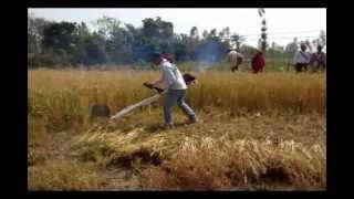 Emergence of latest technologies in Nepali Agriculture [upl. by Eiramalegna741]