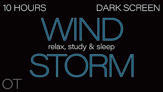 HOWLING WIND Sounds for Sleeping Relaxing Studying BLACK SCREEN Real Storm Sounds SLEEP SOUNDS [upl. by Ydnirb860]