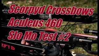 Scorpyd Crossbows Aculeus 460 fps High Speed Video Test 2 [upl. by Acul277]