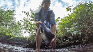 Easily catch Alaskan salmon by bare hands and eat it raw [upl. by Itoyj]