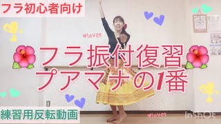 473フラ振付復習🌺プアマナの1番を踊ってみよう❤️フラダンス初心者向け🌺一緒にフラを踊ろう💕MioSTYLE💕 [upl. by Maillw]