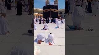 Video status sarganasalleallahualaihiwassallam [upl. by Franckot]