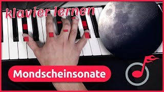 Mondscheinsonate  Ludwig van Beethoven  auf dem Klavier lernen [upl. by Seitz455]