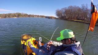 122617 Lake Norman Stumpy Creek  Best winter bait Arig [upl. by Wilfrid569]