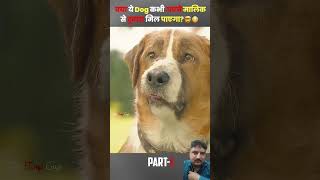 Dog sad story Part 1 dog story movie amazingfacts doglover marvel [upl. by Vanda]