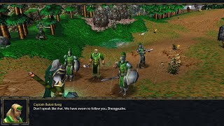 Warcraft 3  Life and Death  Fall of Shengyuze 1 [upl. by Ymled]