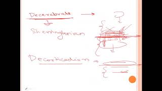 Regulation of Tone and Posture  DECEREBRATE rigidity vs DECORTICATE rigidity [upl. by Lucienne]