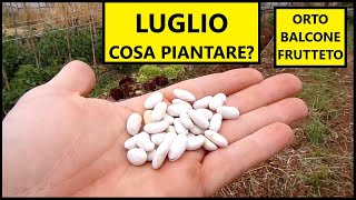 Cosa piantare nel mese di LUGLIO nellOrto e nel Frutteto  Tutorial Agricoltura [upl. by Nivert54]