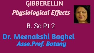 Gibberellins Physiological Effects [upl. by Orihakat526]