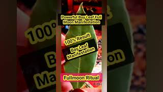 Full Moon Ritual  Bay Leaf Manifestation  Law Of Attraction [upl. by Ripleigh]