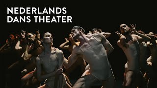 Nederlands Dans Theater Apr 3 – 6  New York City Center [upl. by Ailbert]